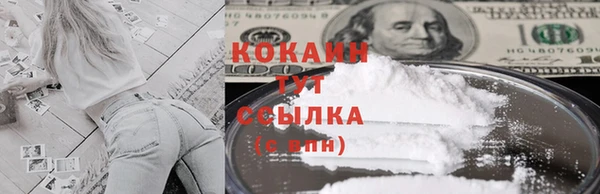тгк Дмитров