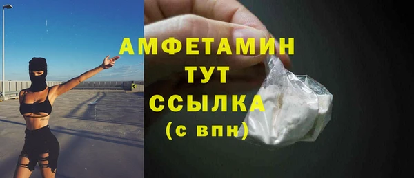 кристаллы Гусь-Хрустальный