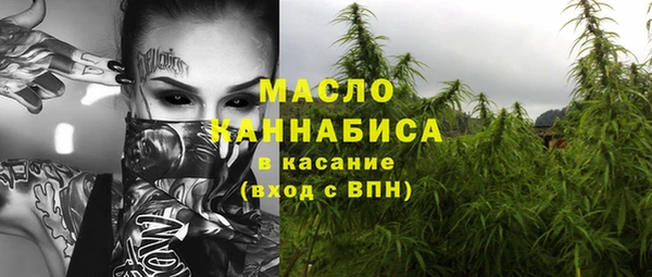 тгк Дмитров