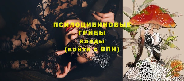соль курить ск Гусев
