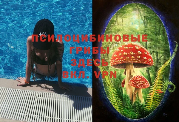 тгк Дмитров