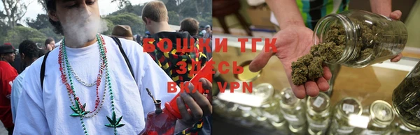 гидра Гусиноозёрск