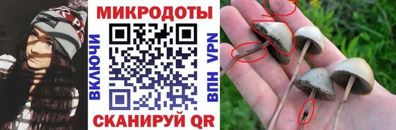 Галлюциногенные грибы Cubensis  Октябрьск 